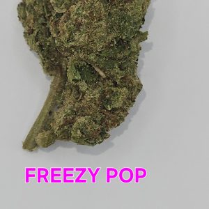 freezy pop (Sticker)