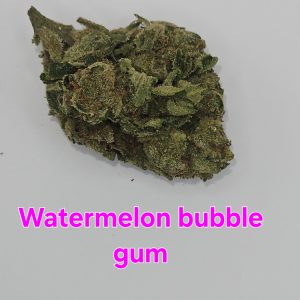 WATERMELON BUBBLEGUM (Sticker)