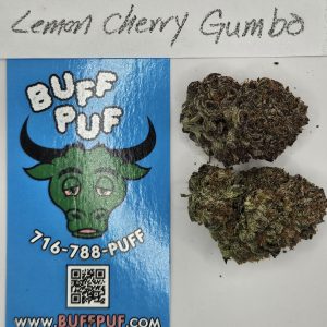 lemon cherry gumbo (Sticker)